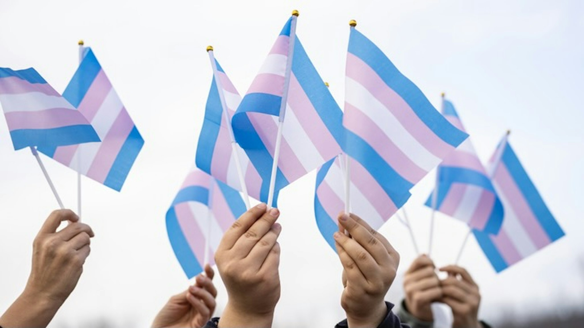 Transgender flags holding by people on a demontration - stock photo Transgender flags holding by people on a demontration Vladimir Vladimirov via Getty Images