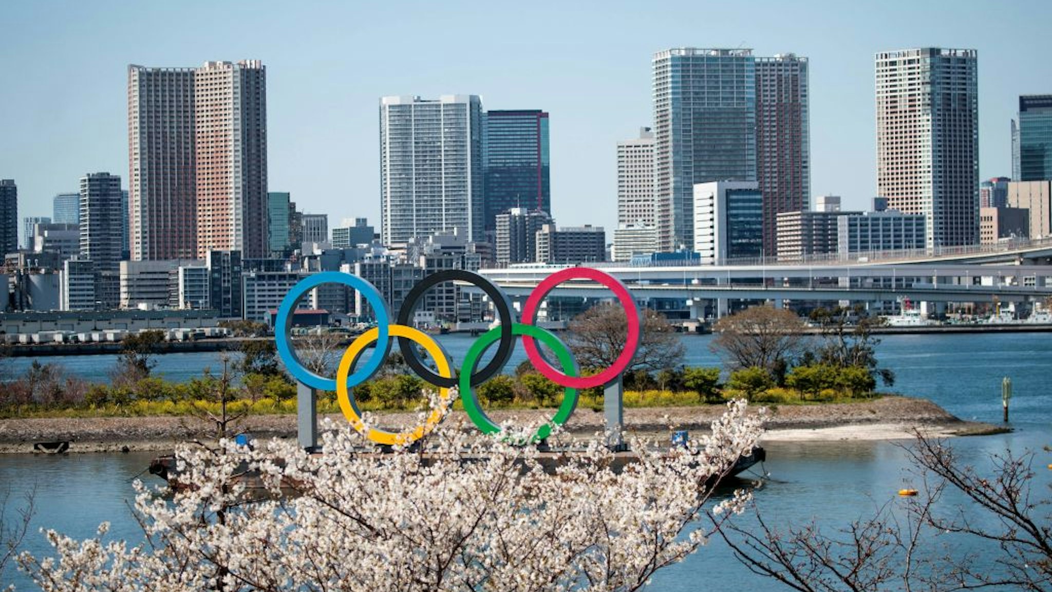 Cherry blossoms are seen near the Olympic rings in Tokyo's Odaiba district on March 25, 2020, the day after the historic decision to postpone the 2020 Tokyo Olympic Games. - Japan on March 25 started the unprecedented task of reorganising the Tokyo Olympics after the historic decision to postpone the world's biggest sporting event due to the COVID-19 coronavirus pandemic that has locked down one third of the planet. (Photo by Behrouz MEHRI / AFP) (Photo by BEHROUZ MEHRI/AFP via Getty Images)