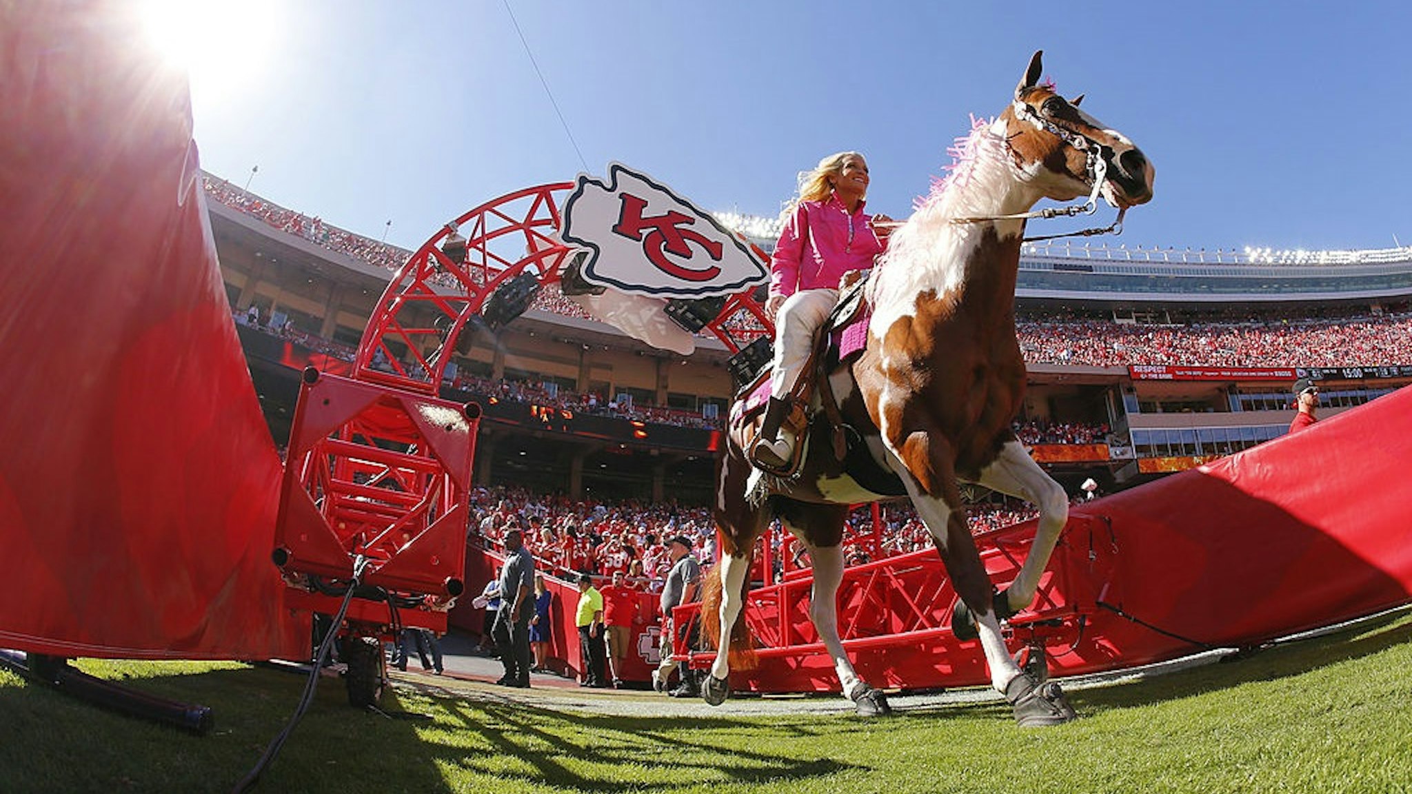 KANSAS CITY, MO - OCTOBER 13: Kansas City Chiefs cheerleader Susie rides Warpaint onto the field for the pre-game festivities before a game against the Oakland Raiders on October 13, 2013 at Arrowhead Stadium in Kansas City, Missouri.