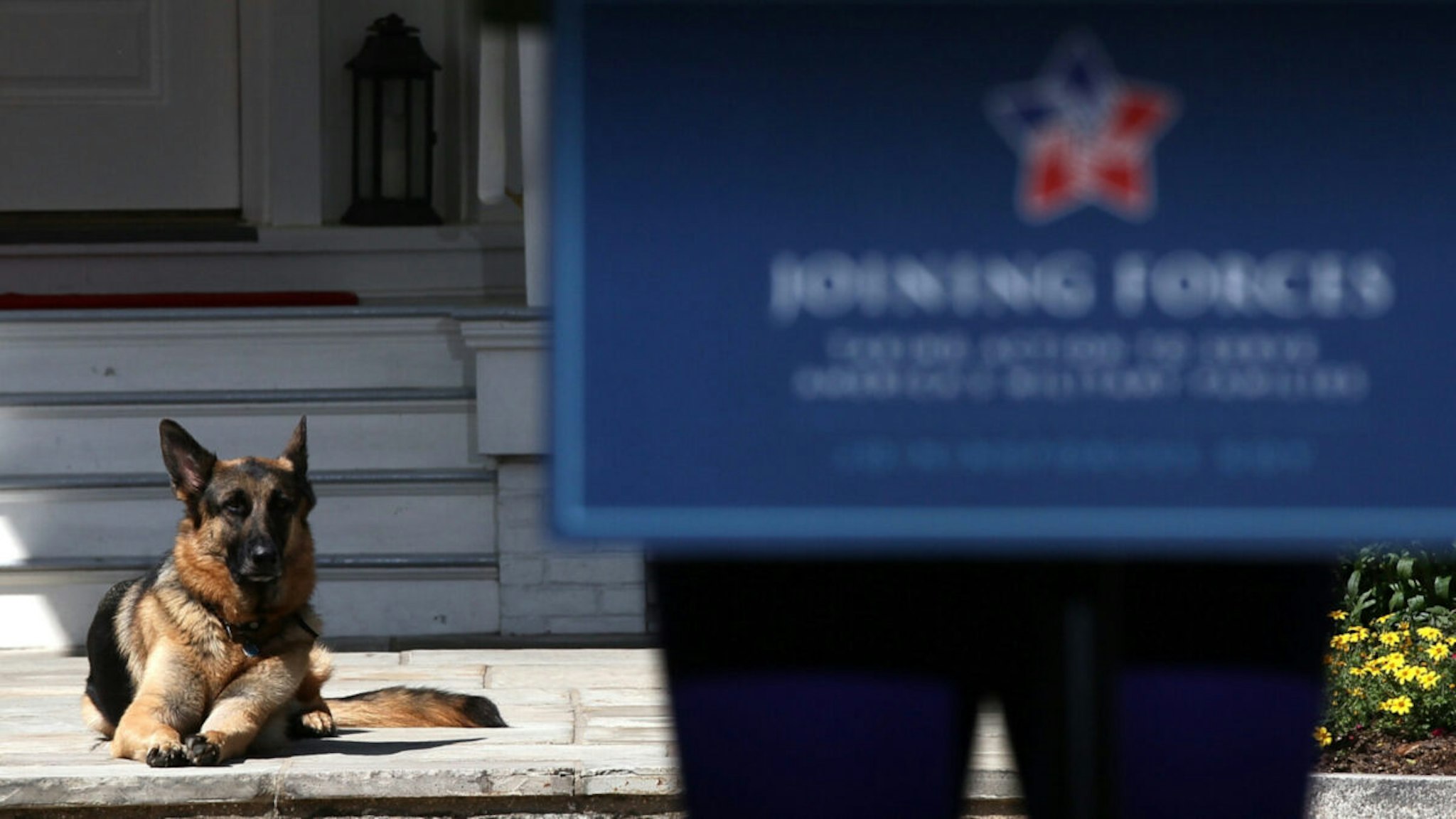 Vice President Joe Biden's dog, Champ, lays down during speechs during a Joining Forces service event at the Vice President's residence at the Naval Observatory May 10, 2012 in Washington, DC.