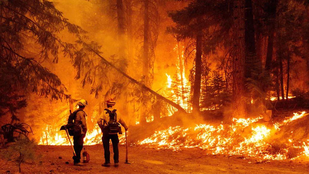 California Professor Accused Of ‘Arson-Setting Spree’ Charged With Starting Wildfire