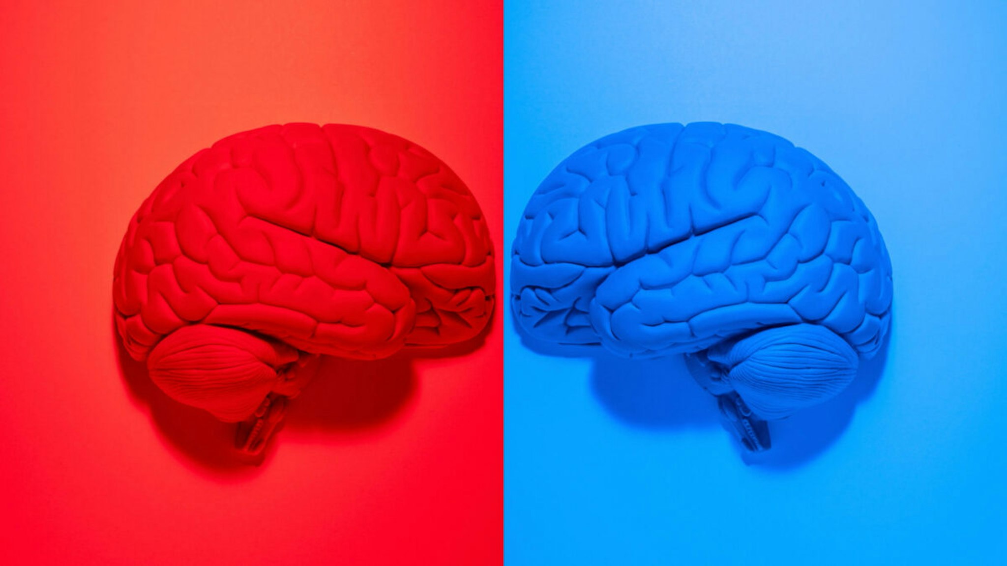 Vibrantly colored red and blue anatomical human brain models facing each other on red and blue backgrounds.