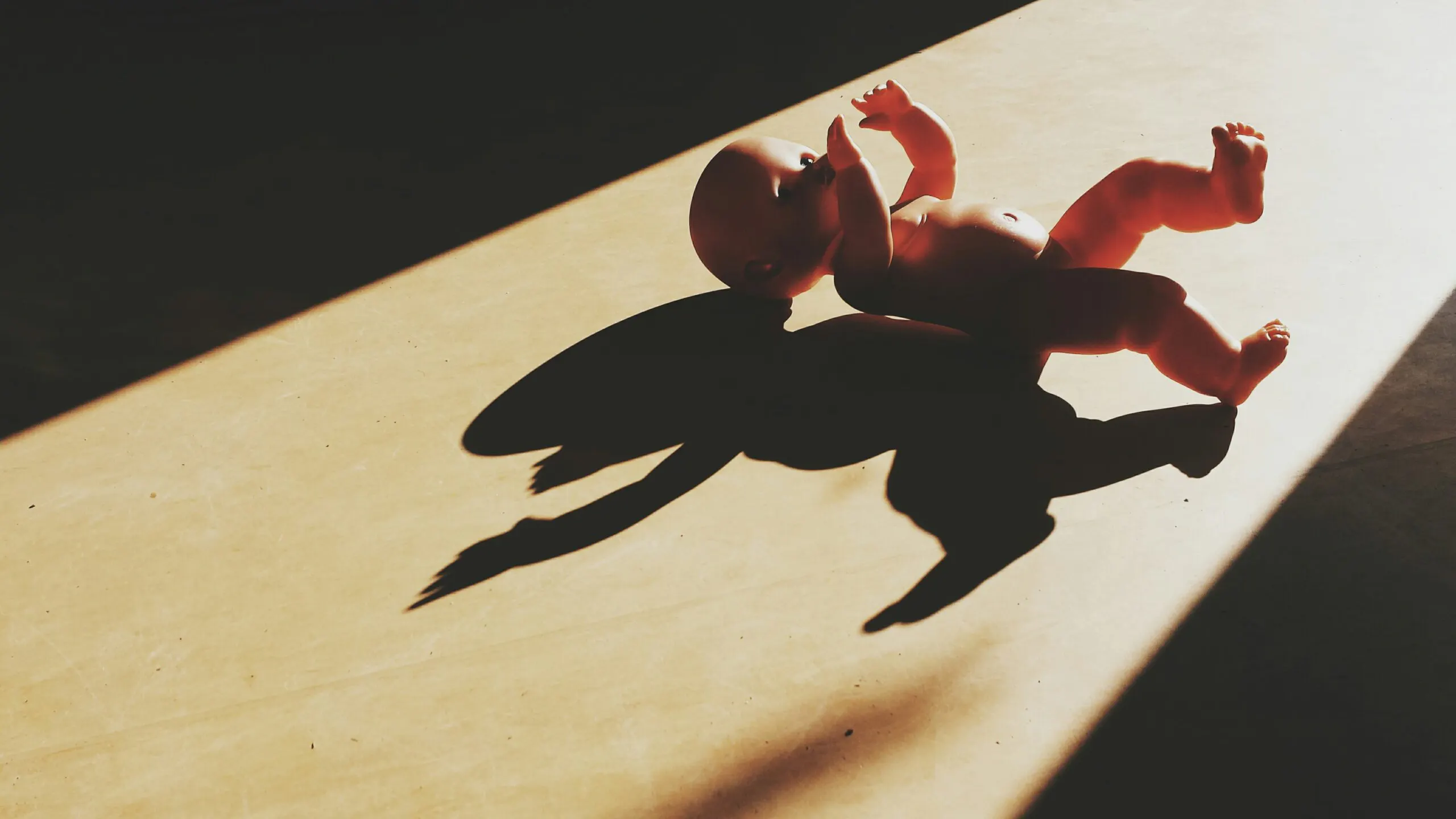 The Untold Story Of The Government’s Long History Of Persecuting Pro-life Americans