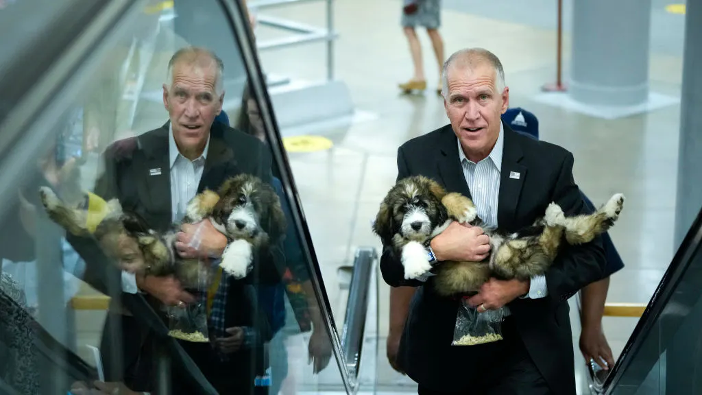 Republican Senator To Hold ‘Bipawtisan’ Dog Costume Party On Capitol Hill