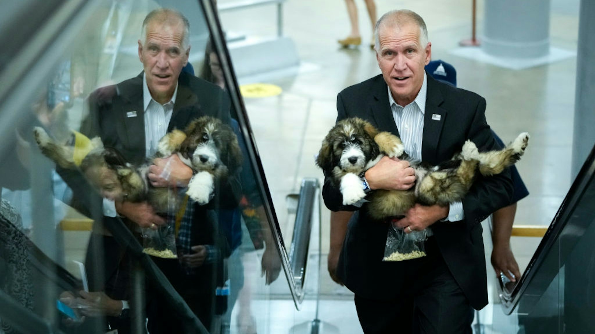 U.S. Sen. Thom Tillis (R-NC) carries his dog Theo through the Senate subway on his way to a vote at the Capitol on June 21, 2021 in Washington, DC. With a July 4 recess upcoming, Congress will resume negotiations this week on voting rights, infrastructure and police reform legislation.