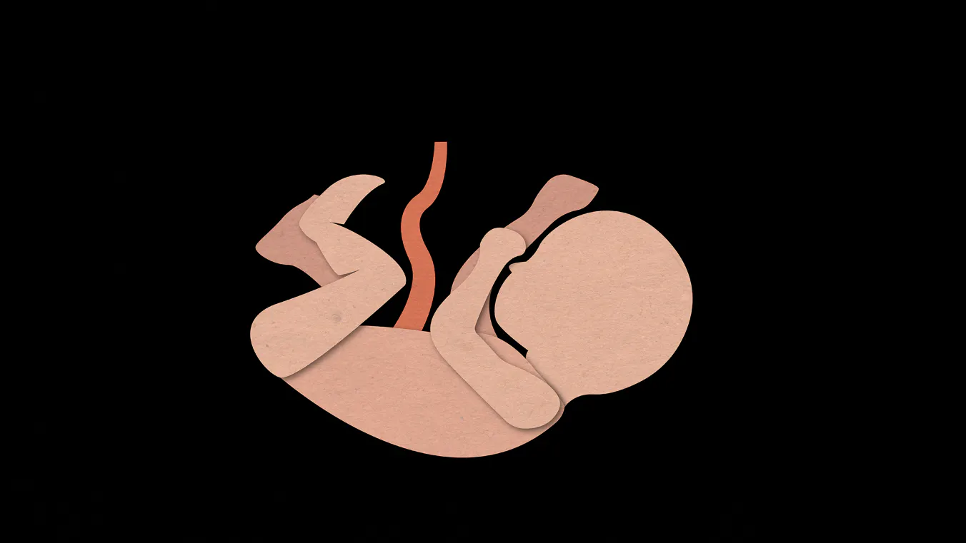 Media Bias 101: Pro-life ‘Restrictions’ vs. Pro-Abortion ‘Protections’