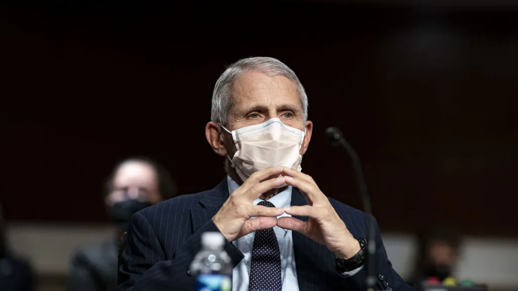 ‘Prepare For The Worst’: Fauci Says Travel Bans Won’t Stop Omicron, Too Early To Say If More Lockdowns Are Coming