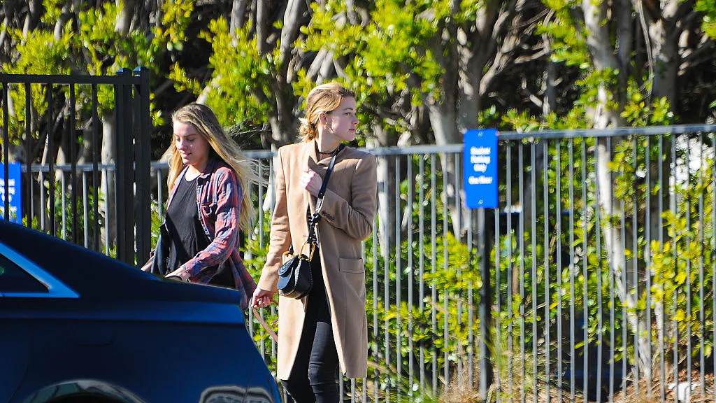 Amber Heard Is Being Investigated For Potential Perjury In 2015 Dog Smuggling Incident