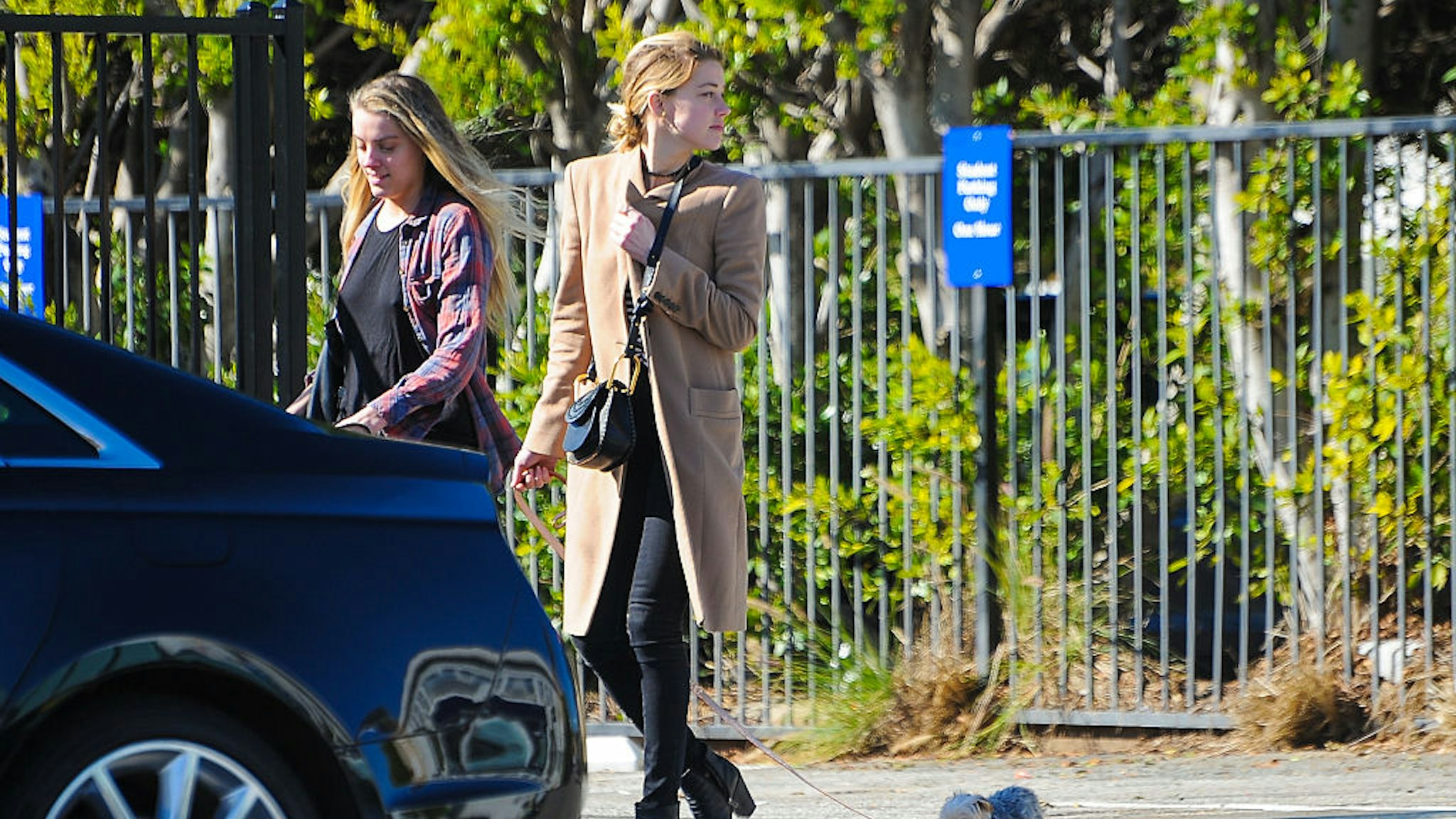 Amber Heard and her sister Whitney Heard(L) are seen on January 26, 2017 in Los Angeles, California.