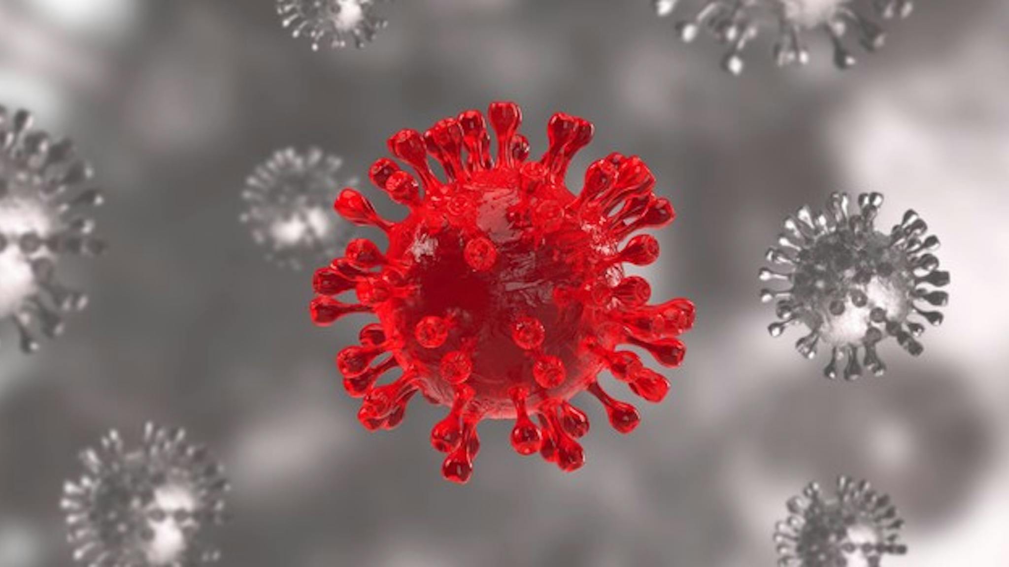 Microscopic view of covid-19 omicron variant or B.1.1.529, variant of concern. Concept of microscopic view of covid-19 omicron variant or B.1.1.529, variant of concern. 3D rendering.