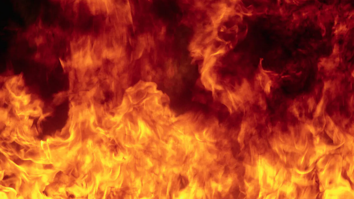 Tens Of Thousands Of Chickens Killed In Minnesota Farm Fire