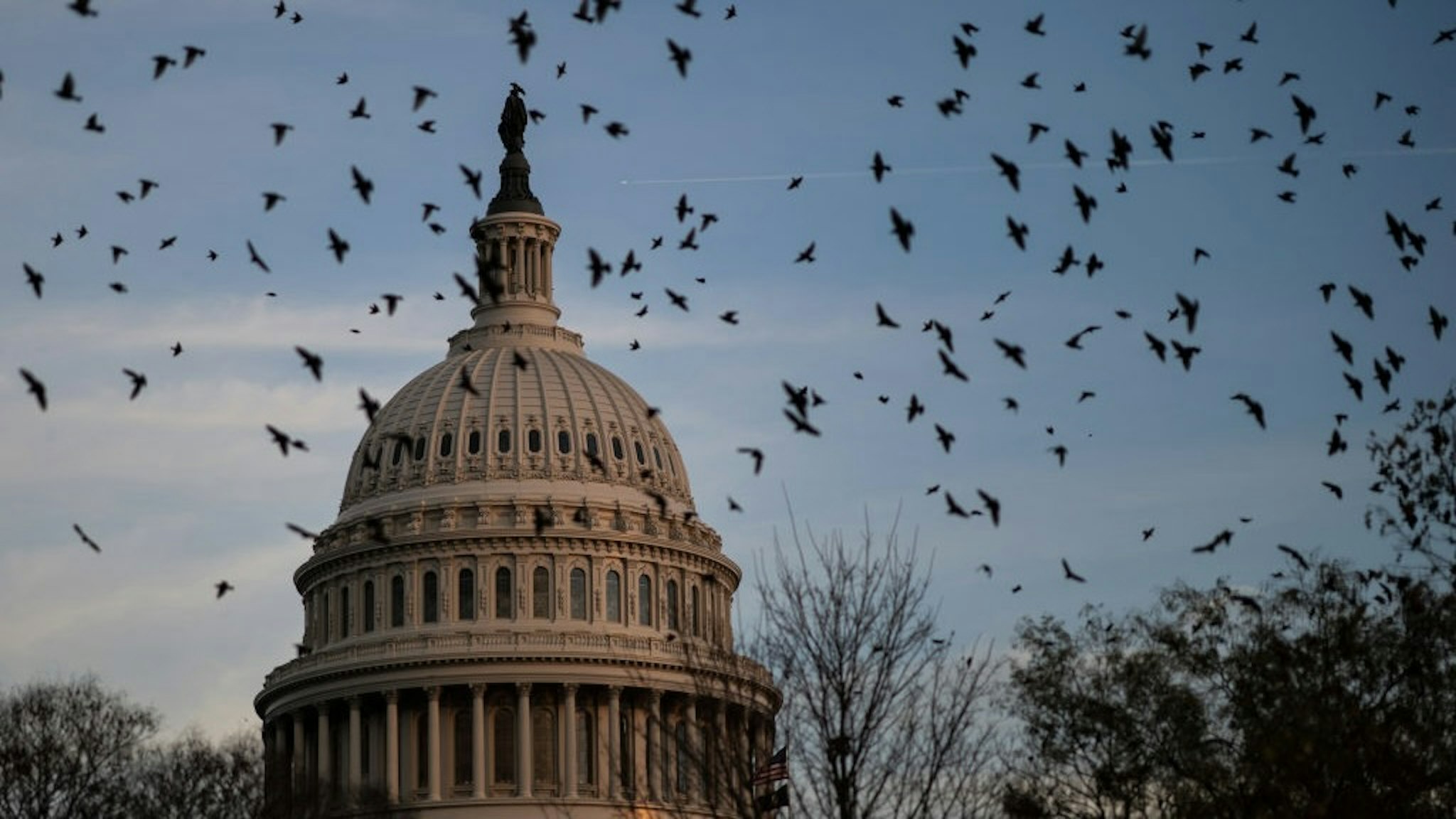 Lawmakers Work To Avert Government Shutdown WASHINGTON, DC - DECEMBER 2: A flock of birds flies near the U.S. Capitol at dusk on December 2, 2021 in Washington, DC. With a deadline at midnight on Friday, Congressional leaders are working to pass a continuing resolution to fund the government and avoid a government shutdown. (Photo by Drew Angerer/Getty Images) Drew Angerer / Staff