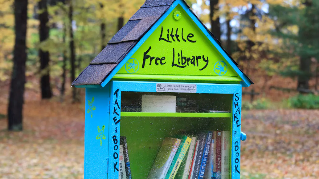 NYT Writer Resents White People Using Little Free Library She Started On Her Lawn