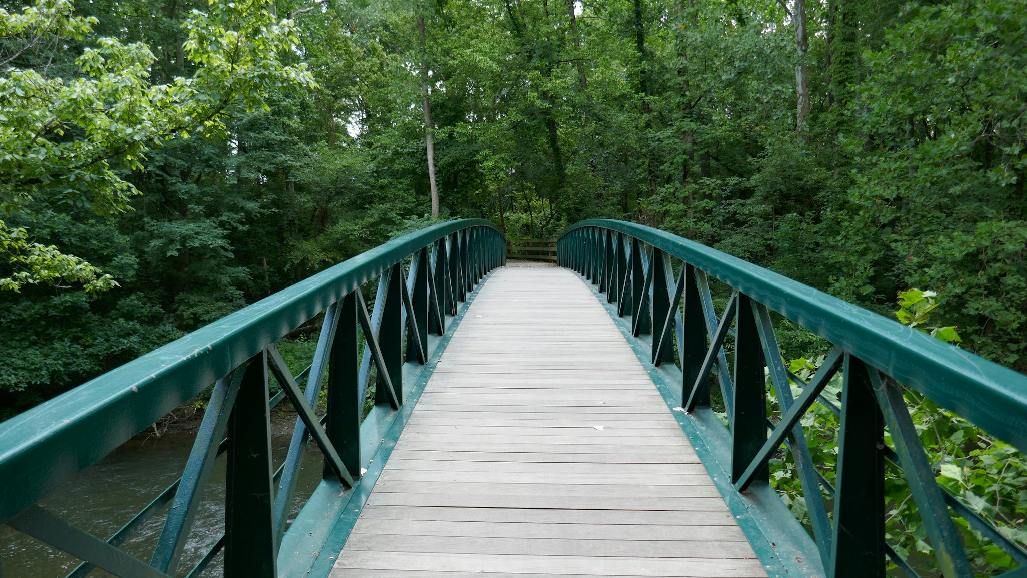 Wooden footpath bridge with metal handrails crossing creek through forest perspective - stock photo