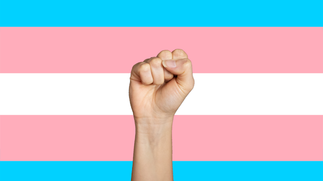 A fist raising up to celebrate, background transgender pride flag - stock photo