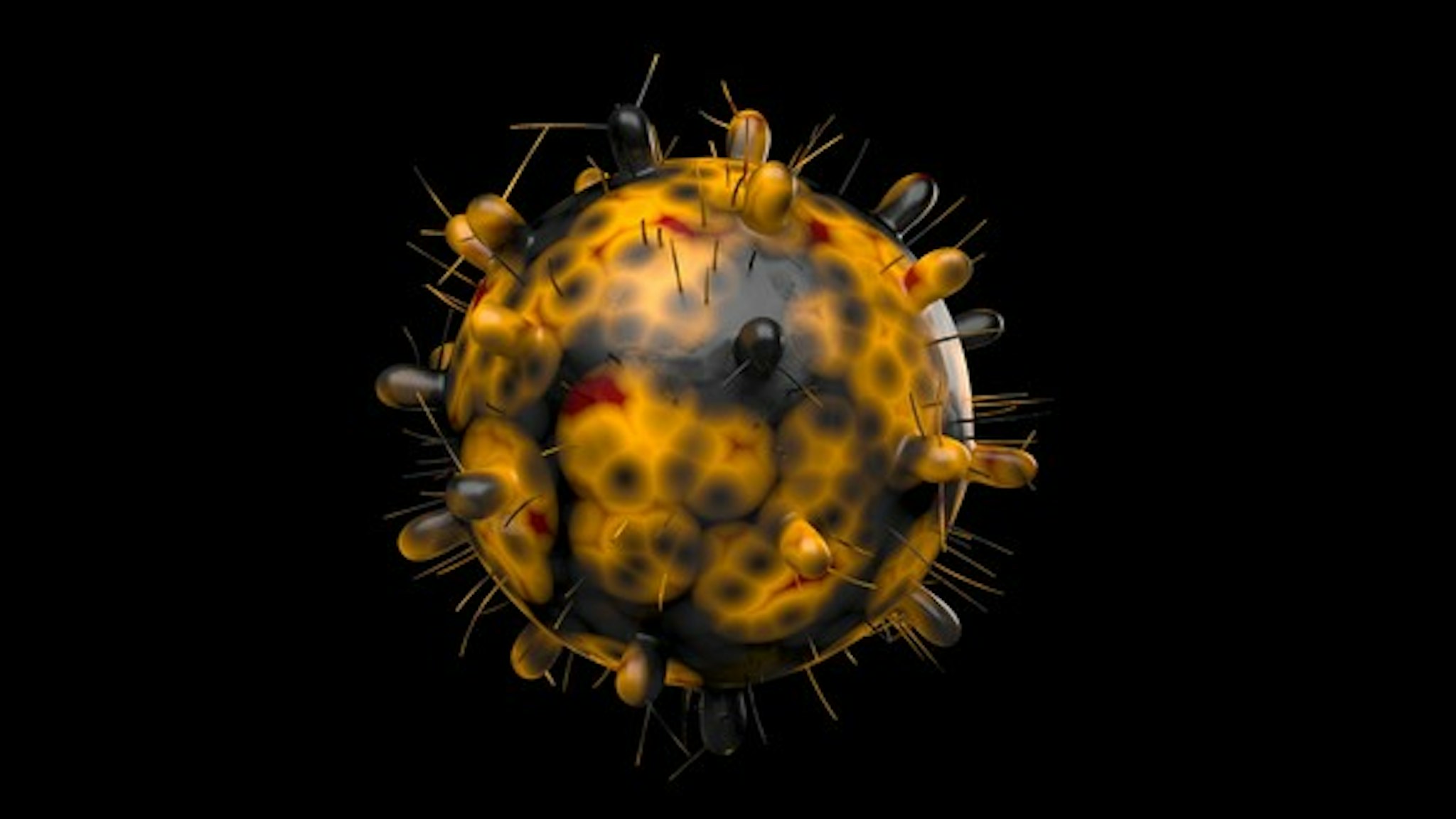 The B.1.1.529 variant was first reported to WHO from South Africa on 24 November 2021. it's the recent variant spotted in South Africa all Nations are on High Alert Now.This variant has a large number of mutations, some of which are concerning. Preliminary evidence suggests an increased risk of reinfection with this variant. Here's a computer generated image of coronavirus omicron against black background.