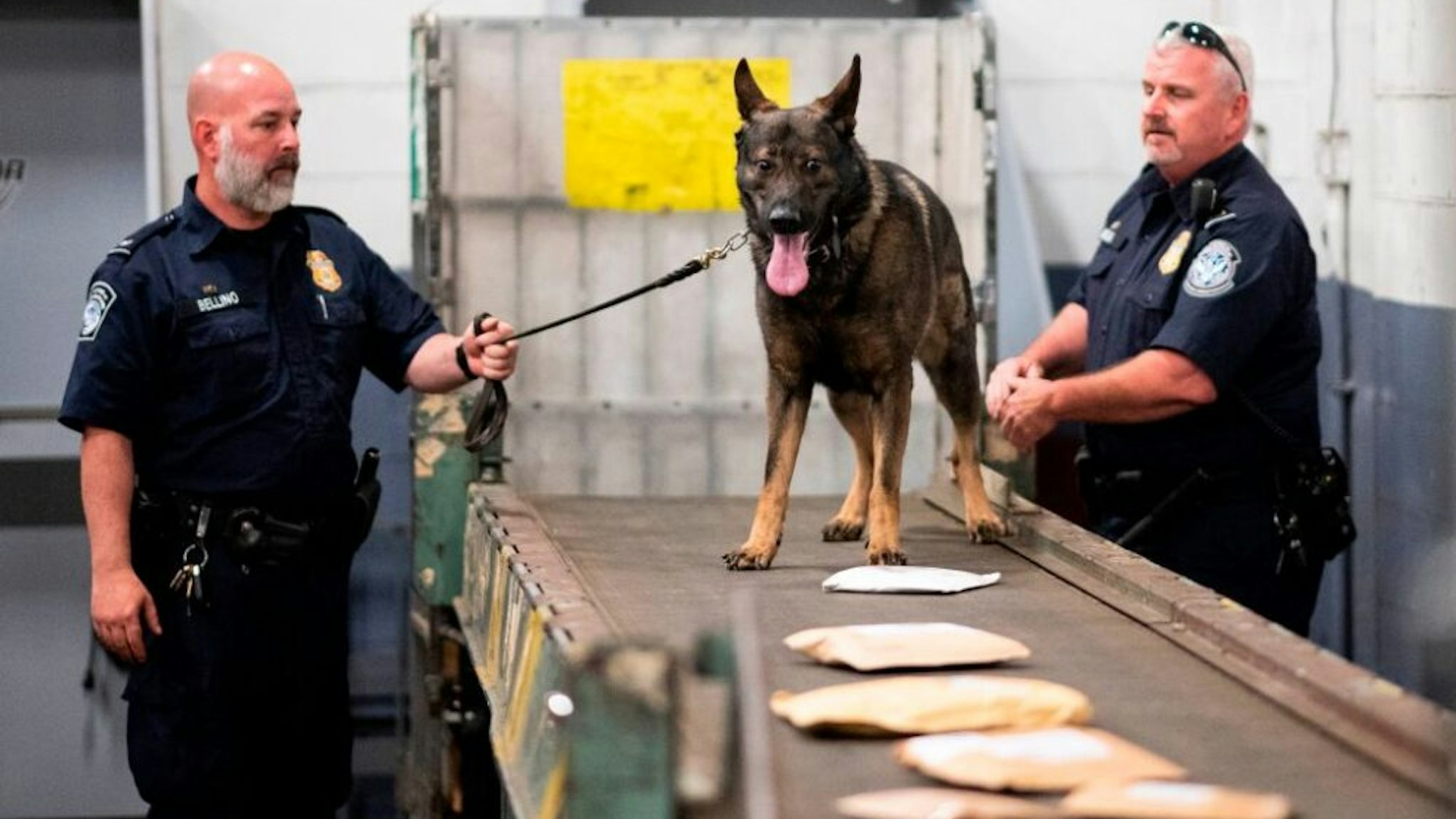 Officers from the Customs and Border Protection, Trade and Cargo Division work with a dog to check parcels at John F. Kennedy Airport's US Postal Service facility on June 24, 2019 in New York. - In a windowless hangar at New York's JFK airport, dozens of law enforcement officers sift through packages, looking for fentanyl -- a drug that is killing Americans every day. The US Postal Service facility has become one of multiple fronts in the United States' war on opioid addiction, which kills tens of thousands of people every year and ravages communities.