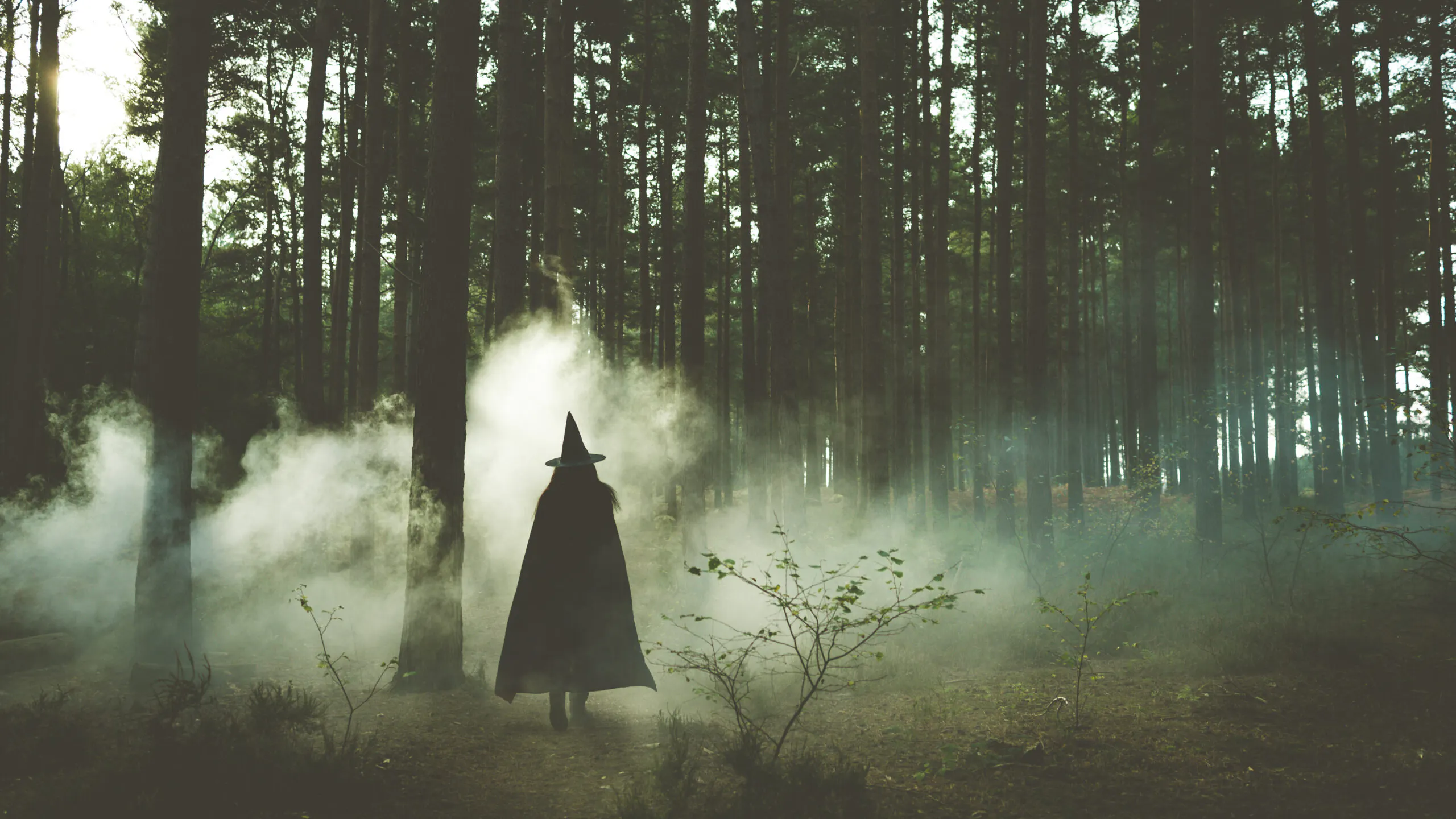 Scotland May Pardon People Executed As Witches 400 Years Ago