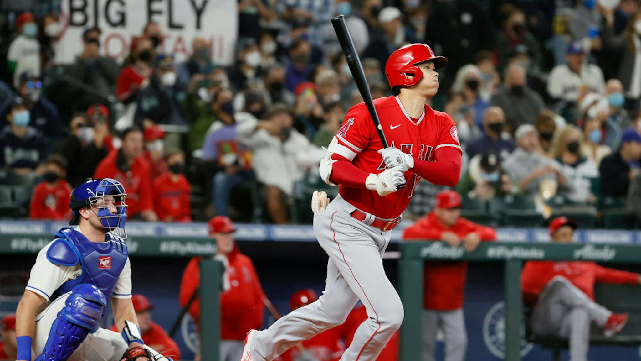 SEATTLE, WASHINGTON - OCTOBER 03: Shohei Ohtani #17 of the Los Angeles Angels watches his home run against the Seattle Mariners during the first inning at T-Mobile Park on October 03, 2021 in Seattle, Washington. (Photo by Steph Chambers/Getty Images)