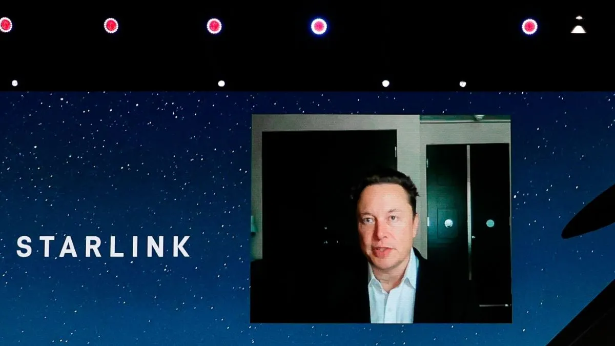 SEE IT: Kitties Love Elon Musk’s Starlink Satellite Dish