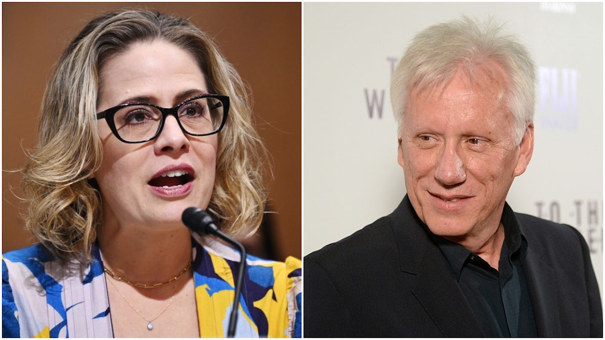 Former Dem Labor Sec Calls For Violence Against Sinema. James Woods, Others Fire Back