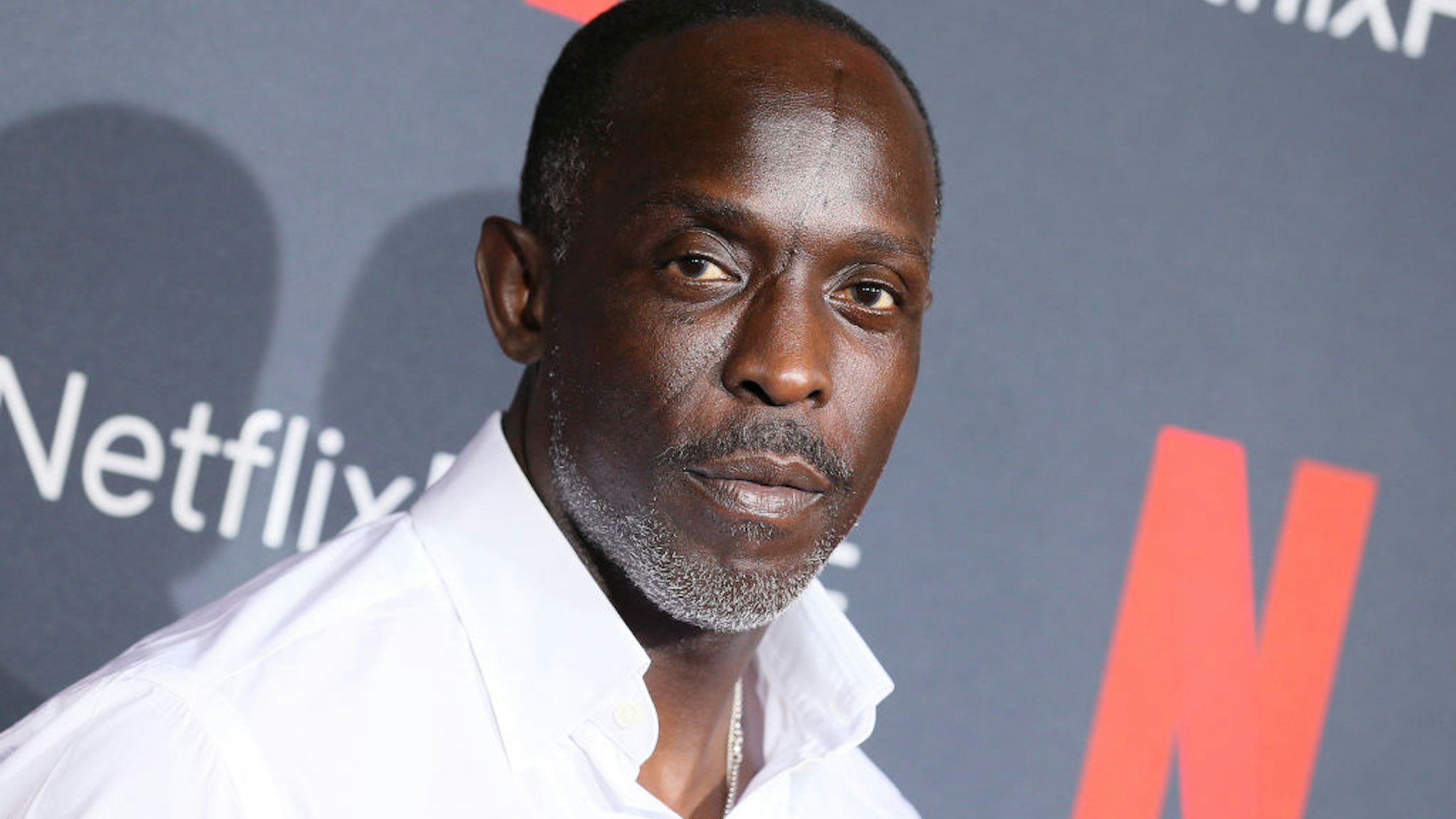 Michael K. Williams attends Netflix's FYSEE event for "When They See Us" at Netflix FYSEE at Raleigh Studios on June 09, 2019 in Los Angeles, California.