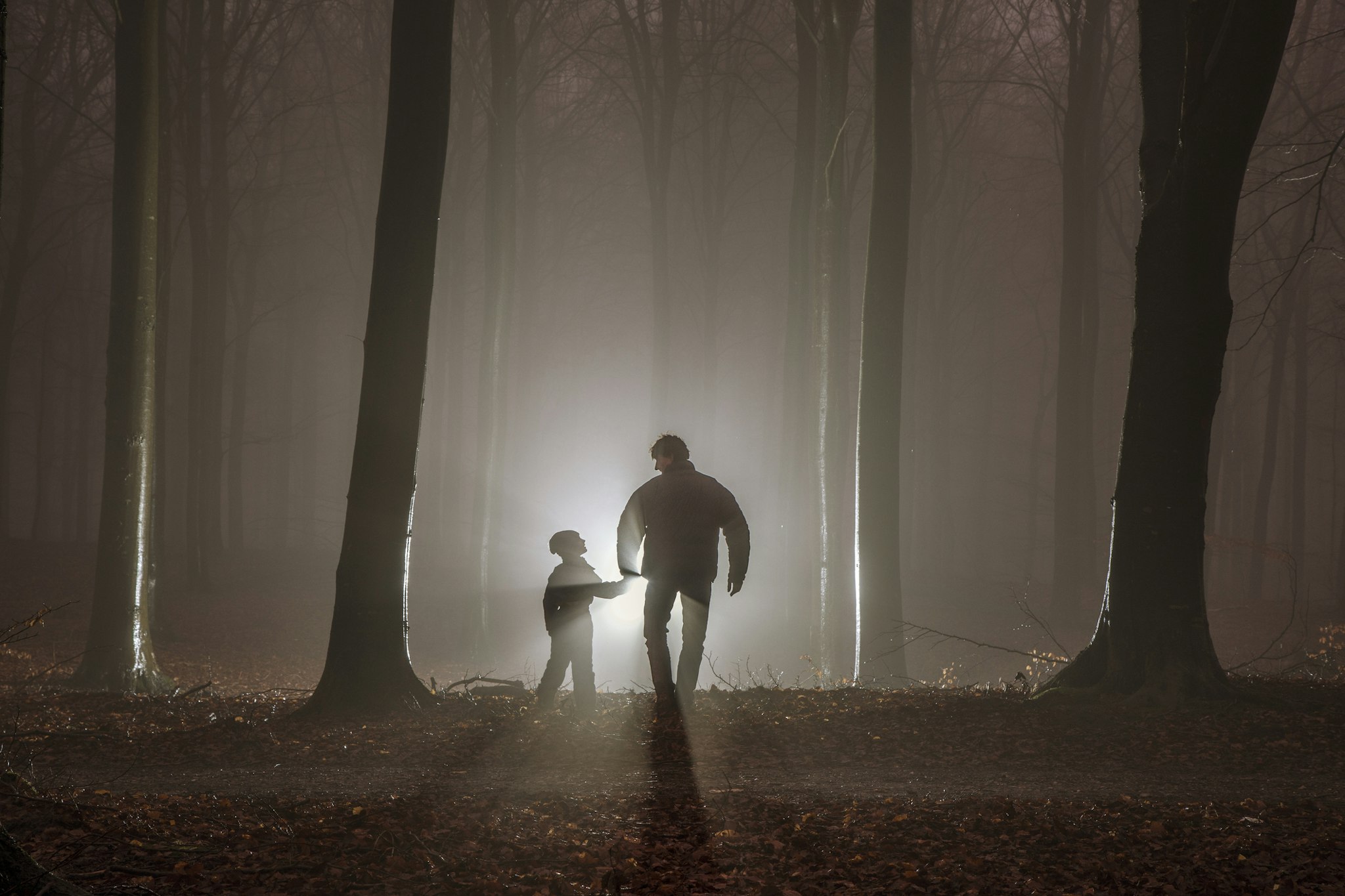 Father and son in misty forest - stock photo