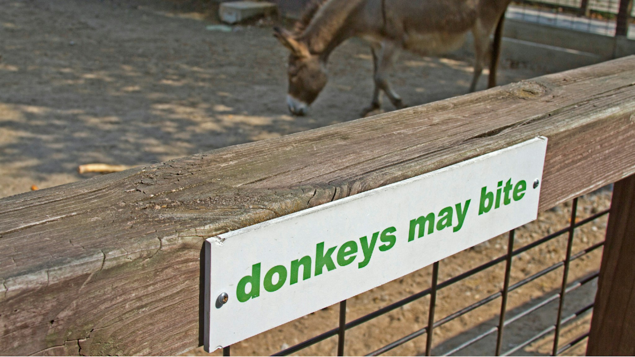 A sign in the foreground saying that donkeys may bite with a donkey in a pen behind it which can be symbolic of the Democratic Party