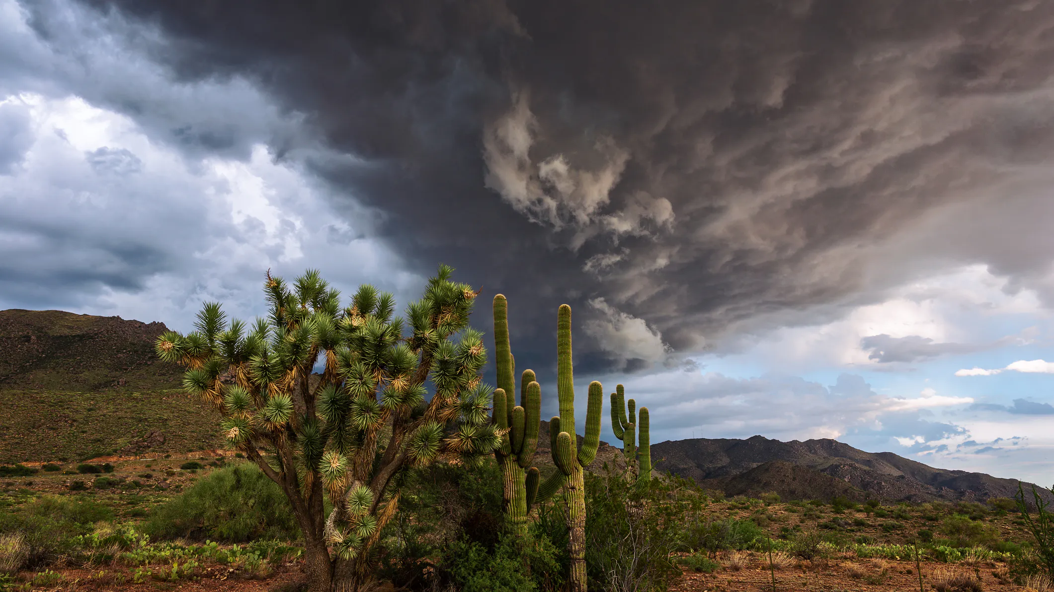 A 4-Year-Old Girl Was Found Dead In 1960. Authorities Just Identified Her.