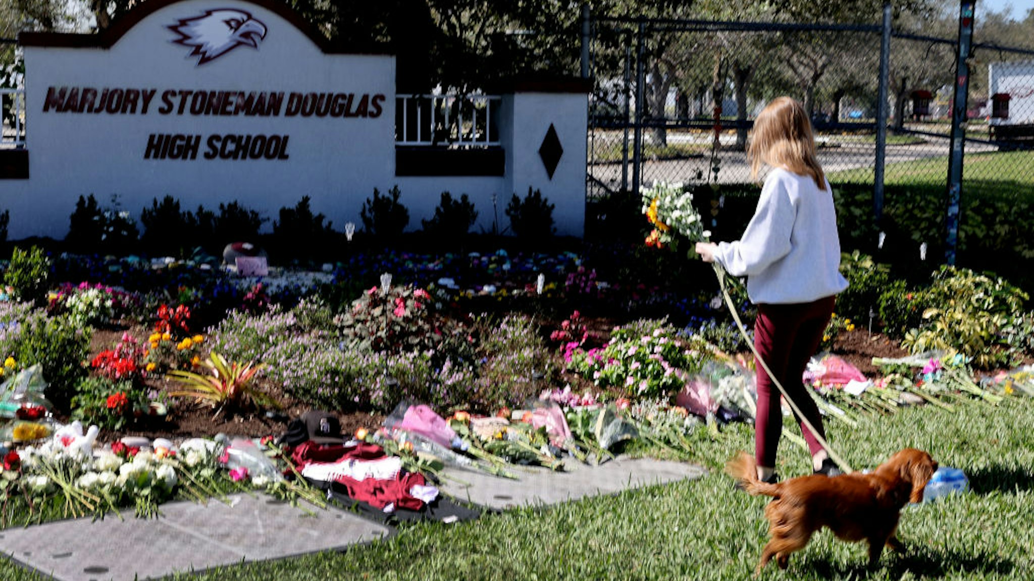 Emma Cabak places flowers on a memorial in front of Marjory Stoneman Douglas High School to honor those killed during a mass shooting on February 14, 2022 in Parkland, Florida.