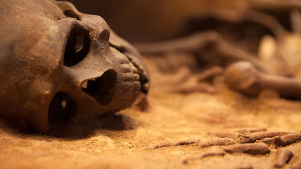 Hands, Feet, And Hundreds Of Bones Found In Pennsylvania Man’s Basement And Storage Unit