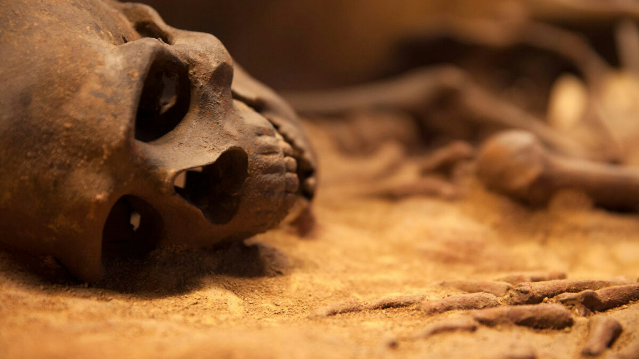 Close Up Of Human Skull