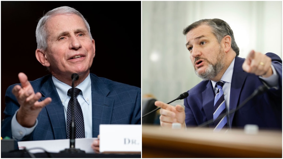 ‘Hell No’: Cruz Slams Fauci For Suggesting COVID Restrictions Might Be Reinstituted