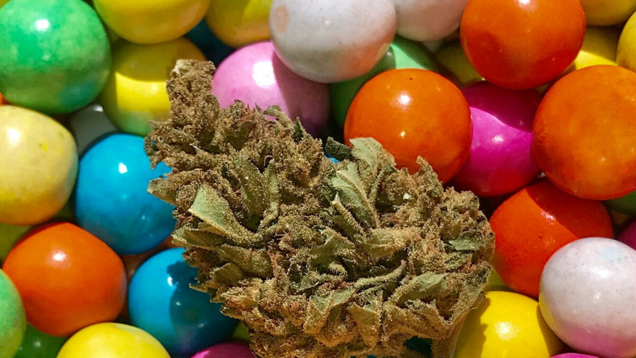 A dried Cannabis bud with gum balls creating a kaleidoscope of colours.