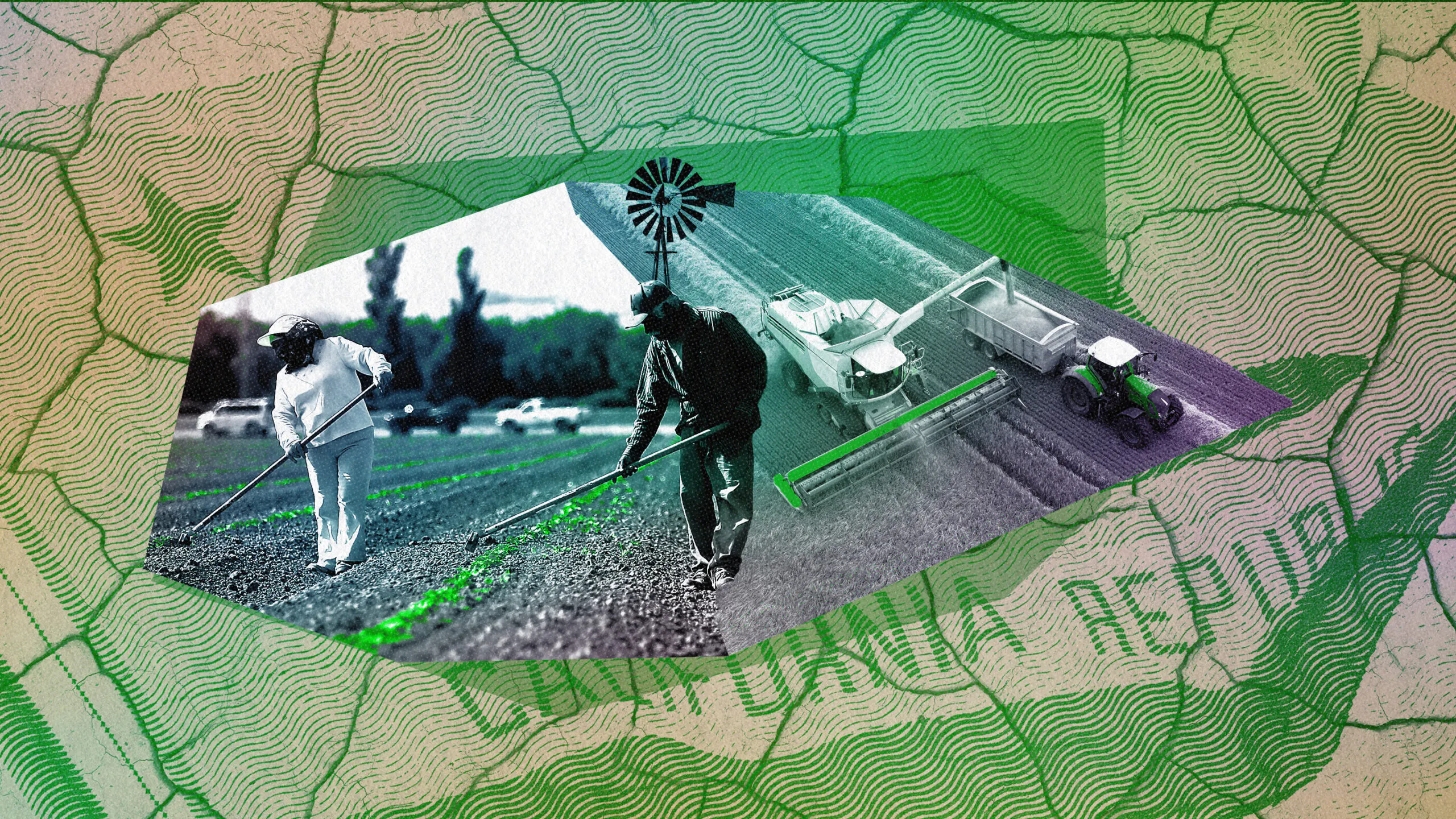 Environmental Policies Are Leaving California Farmers In The Dust