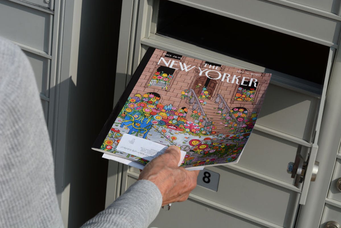 New Yorker Writer Blasts Effective Watchdog Group For ‘Targeting’ Biden Nominees 1 image