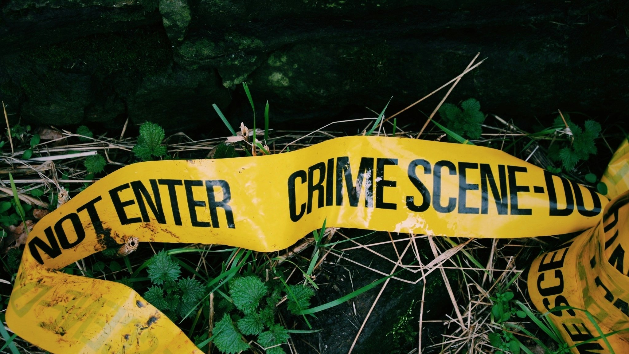 Crime Scene Tape Fallen On Grass - stock photo