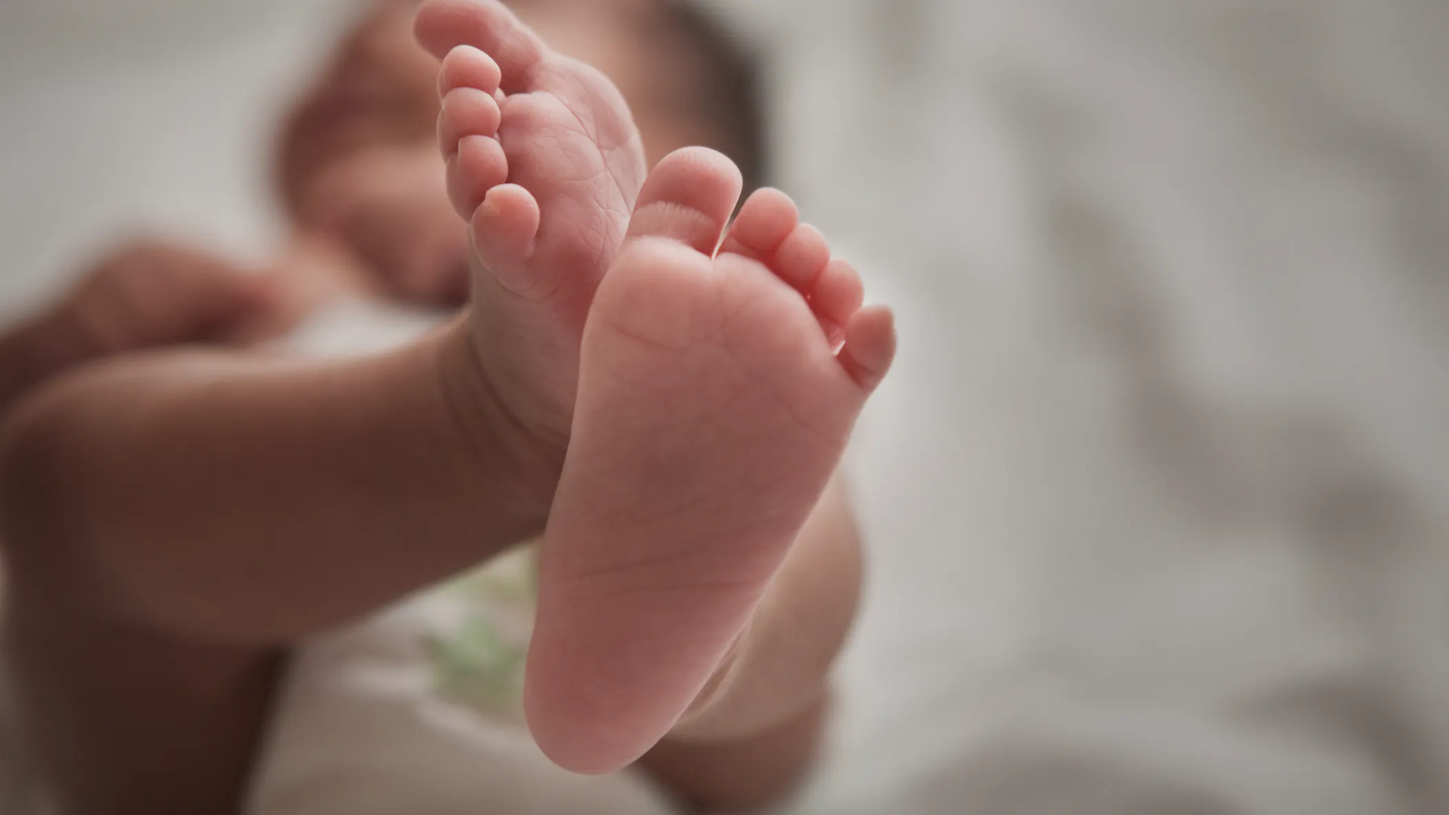 After Preemie-Sized Aborted Babies Found In D.C., Congressman Introduces ‘Partial Birth Abortion Is Murder Act’