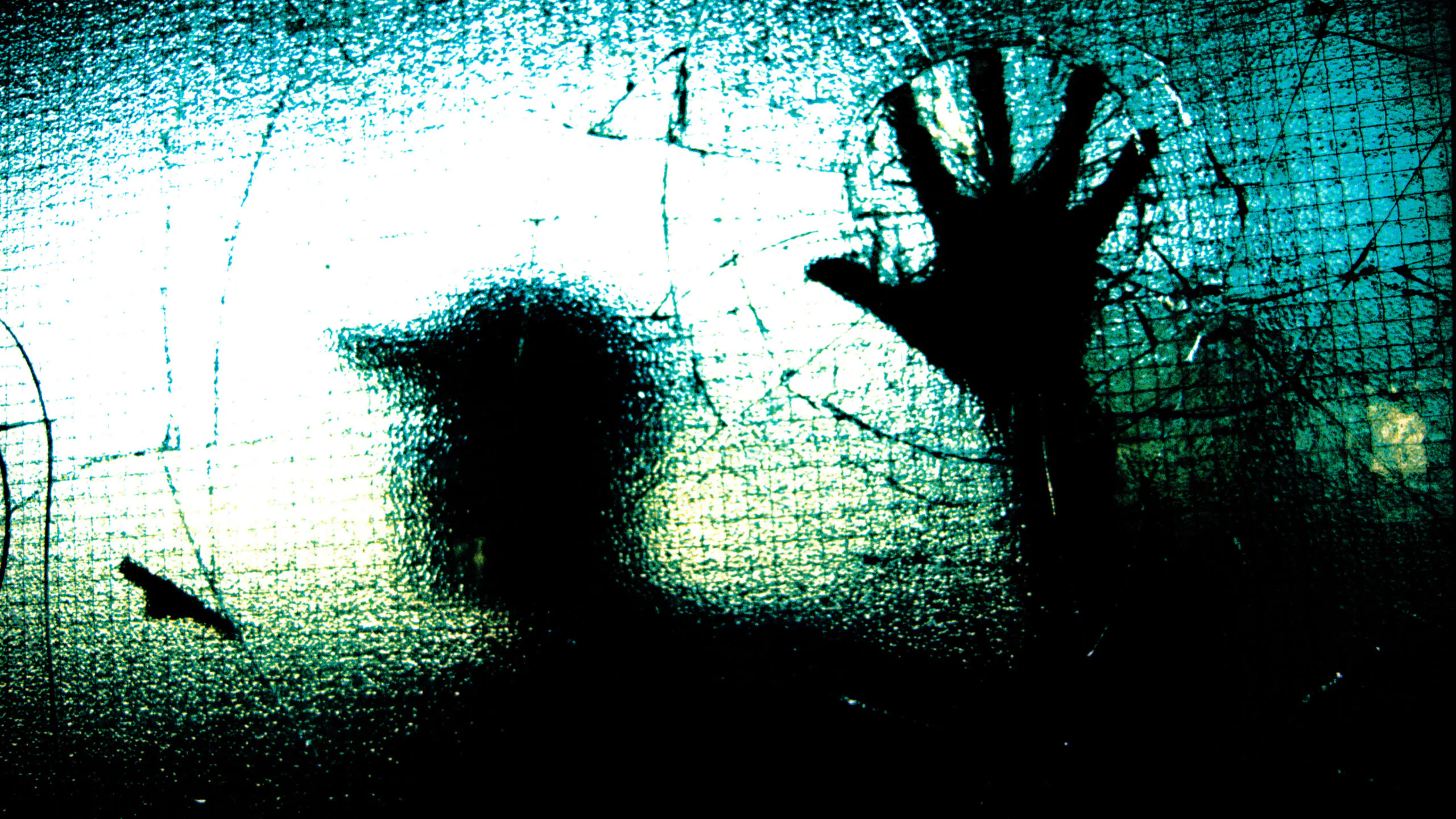 How To Cut Crime In The Murder Capital Of America