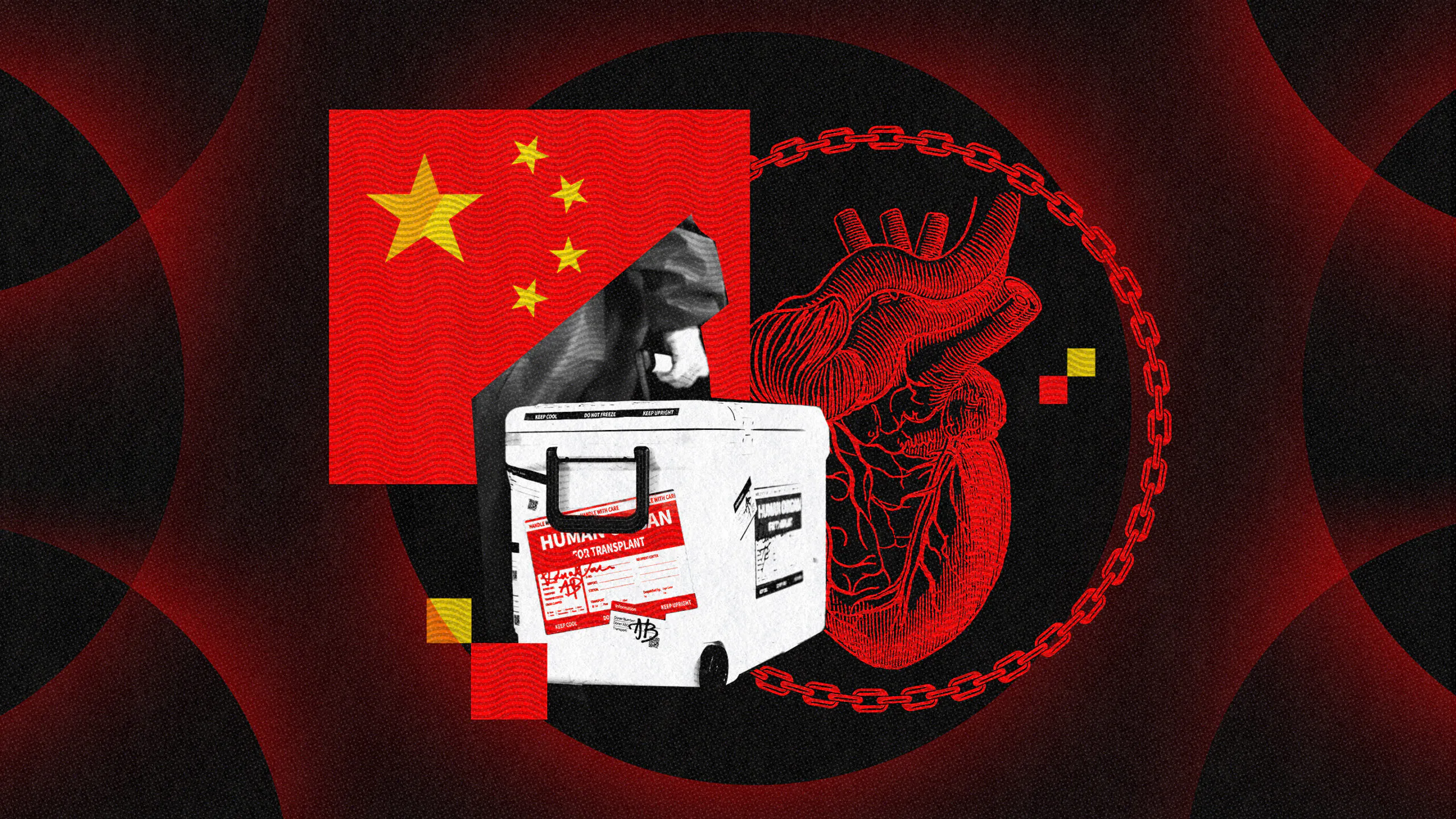 ‘He Was A Live Donor’: For The First Time, We Have Proof Of China’s Organ Harvesting Operation