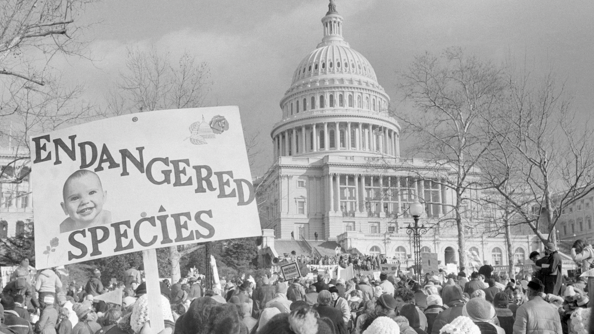 (Original Caption) 1/22/1979-Washington, D.C.- Anti-abortion demonstrators rally near the Capitol on the sixth anniversary of the Supreme Court ruling that resulted in liberalization of the nation's abortion laws. Some 60,000 gathered for a rally.