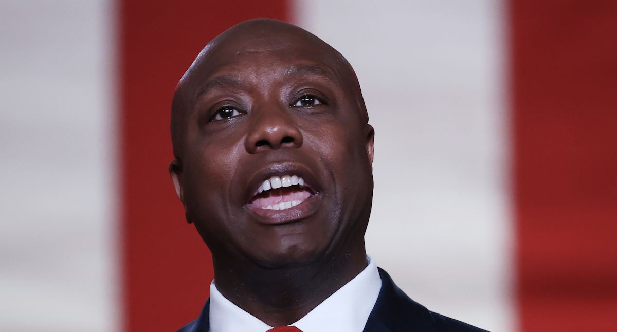 Tim Scott Shuts Down Biden Official With Stunning Rebuke When She Suggests Black …