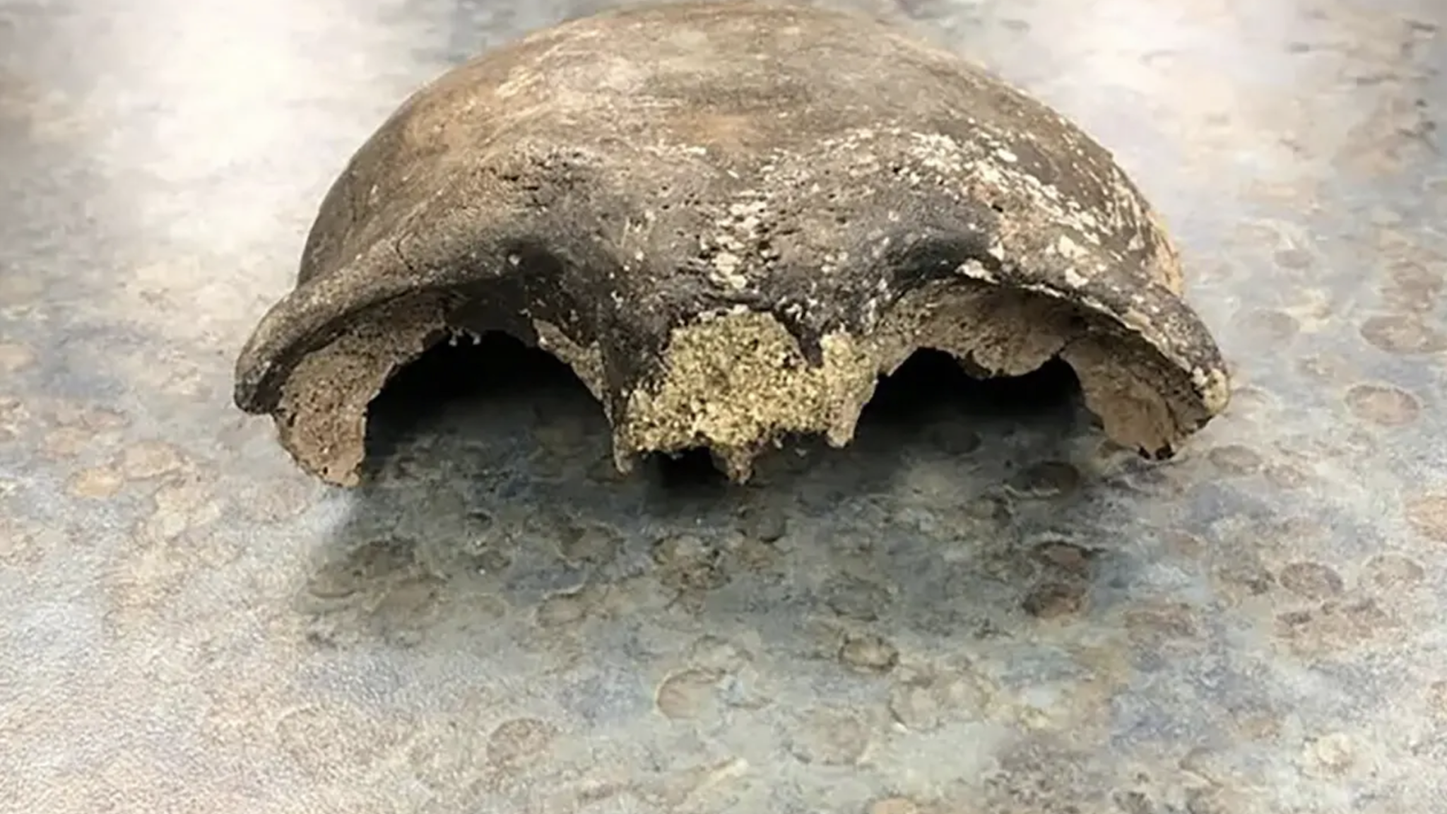 A skull found along the Minnesota River turned out to have been from a man who lived 8,000 years ago