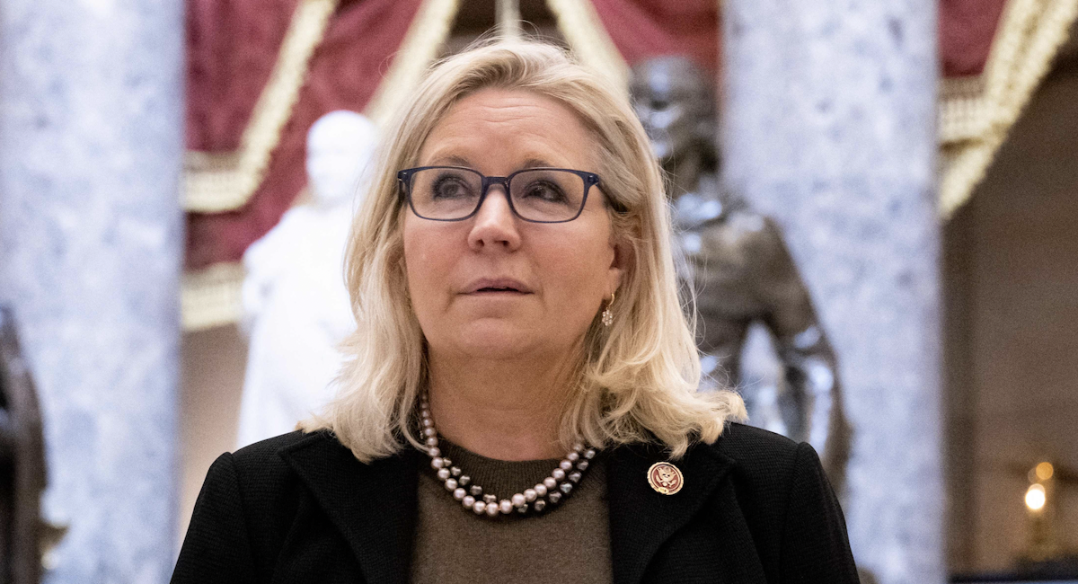 Liz Cheney Dramatically Trails Behind Republican Challenger, Poll Finds