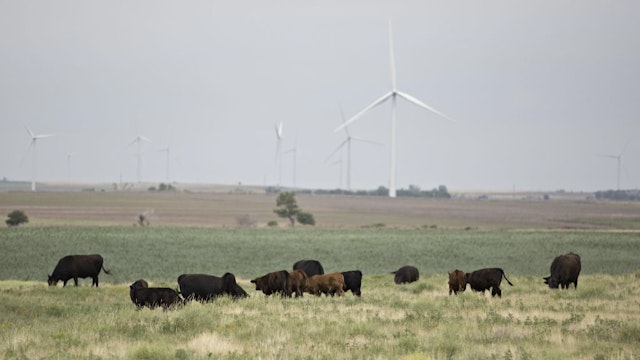 Turbines At The Invenergy LLC Buckeye Wind Energy Center As Renewables Top Nukes In U.S. Power Cattle graze near wind turbines at the Invenergy LLC Buckeye Wind Energy Center in Hays, Kansas, U.S., on Thursday, June 29, 2017. For the first time in more than 30 years, America's nuclear plants have fallen behind wind farms, solar panels and other renewable energy suppliers as a source of electricity. Photographer: Daniel Acker/Bloomberg via Getty Images Bloomberg / Contributor