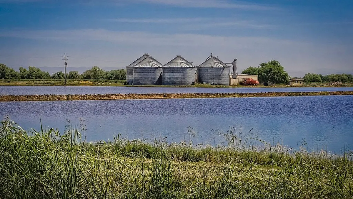 Northern California County Will Produce Significantly Less Rice Due To Water Crisis