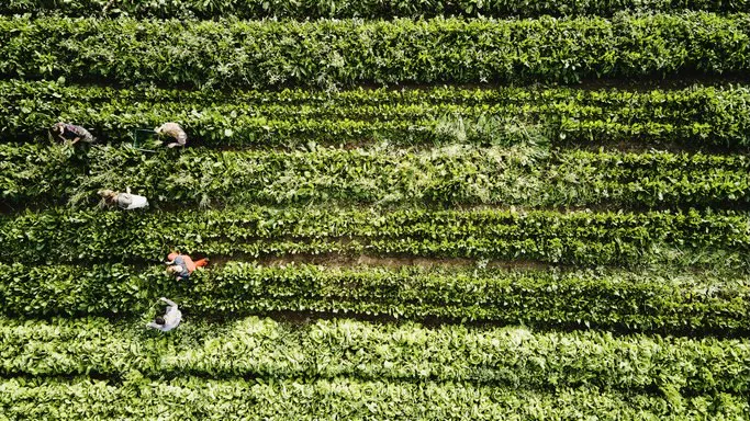 Experts Raise Alarm On Harmful Chemicals In Fertilizer, Water Systems