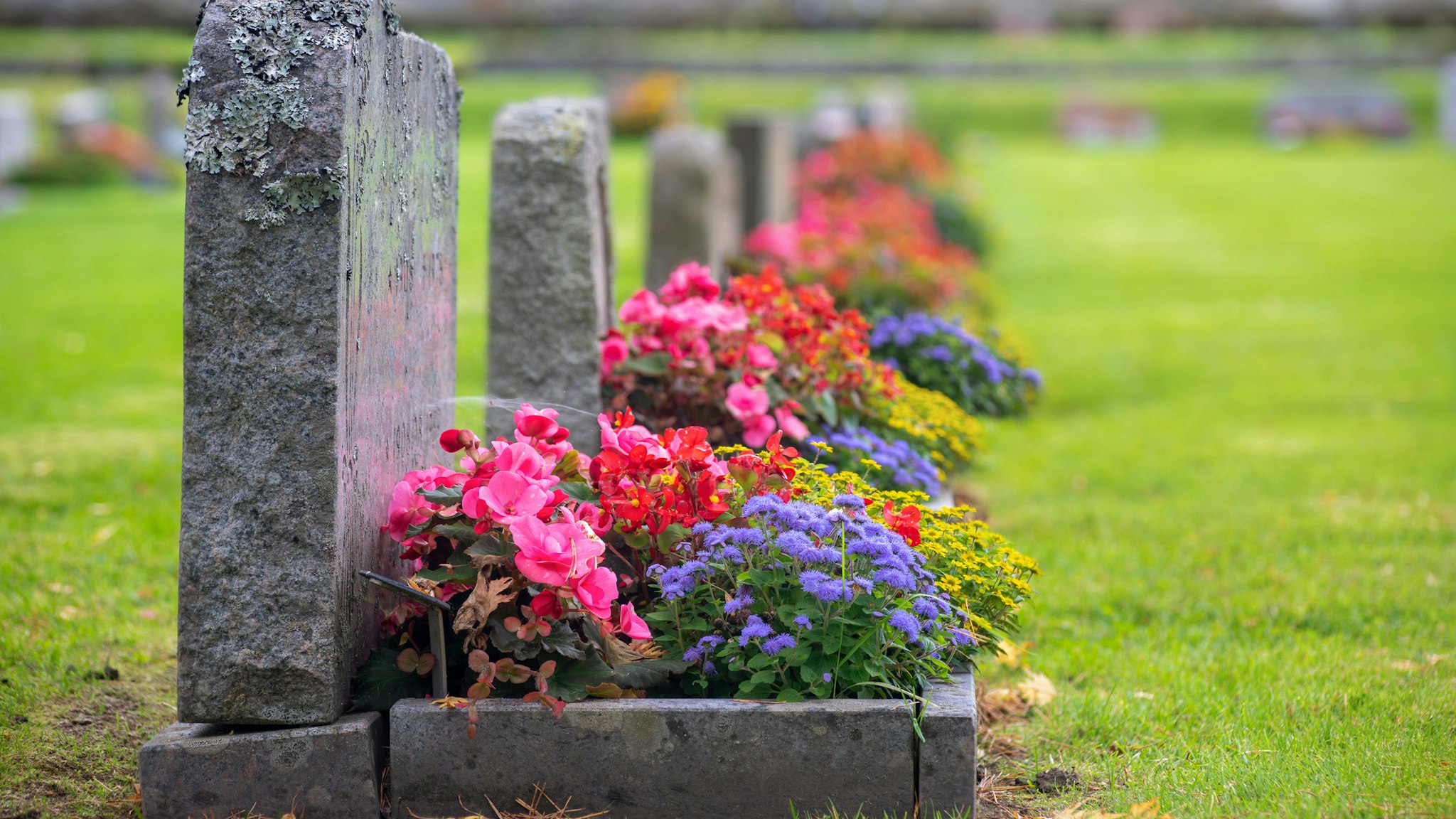Sun shining on a row of gravestones with red, pink and blue flowers on a beautiful and well cared cemetery in Sweden
