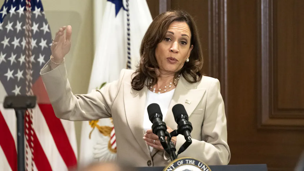 New Kamala Harris Task Force Looks A Lot Like The Disinformation Governance Board