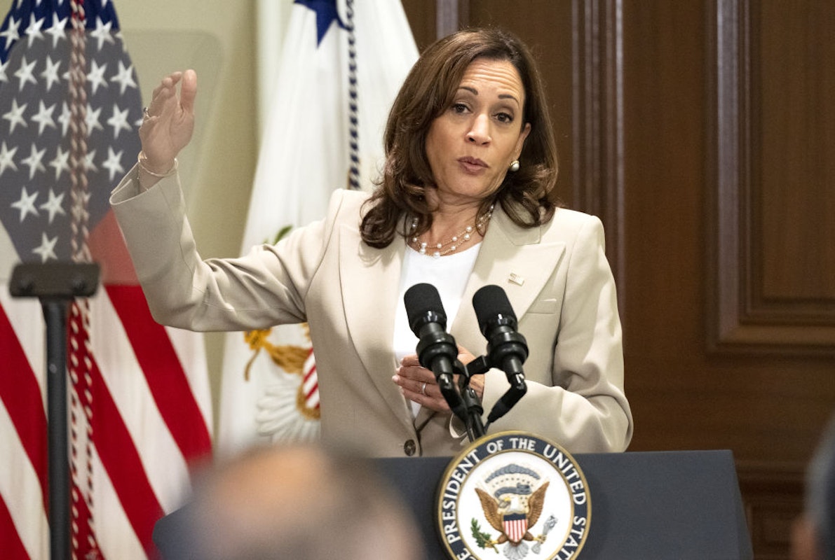 New Kamala Harris Task Force Looks A Lot Like The Disinformation Governance Board